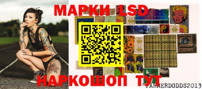 шишки Изобильный