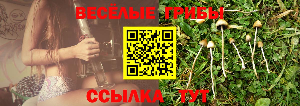 Галлюциногенные грибы MAGIC MUSHROOMS  Вход с VPN  Балтийск  Галлюциногенные грибы мицелий 