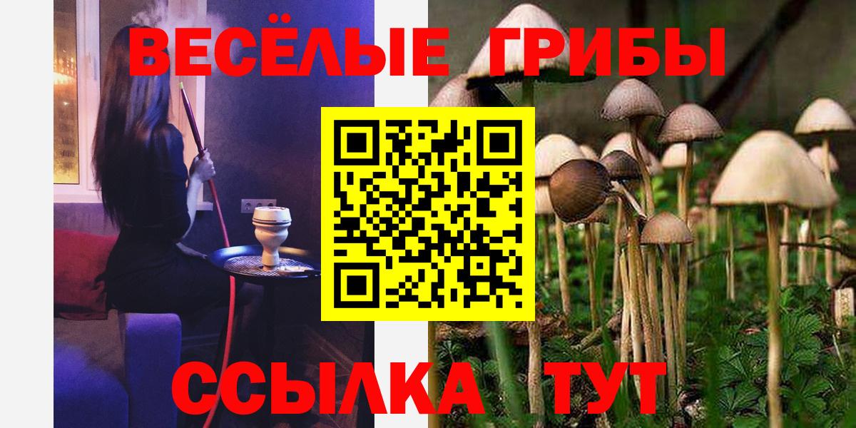 Псилоцибиновые грибы ЛСД Балтийск