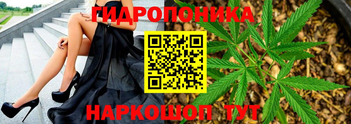 Марихуана конопля Балтийск